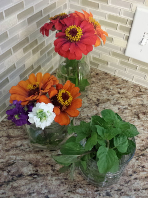 October 2014 028_1_1