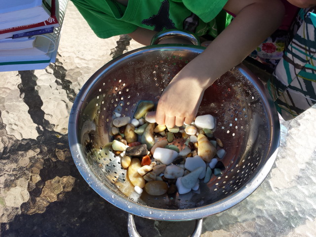 january 29, 2015 002_1