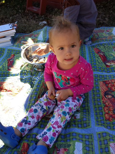 january 29, 2015 009_1