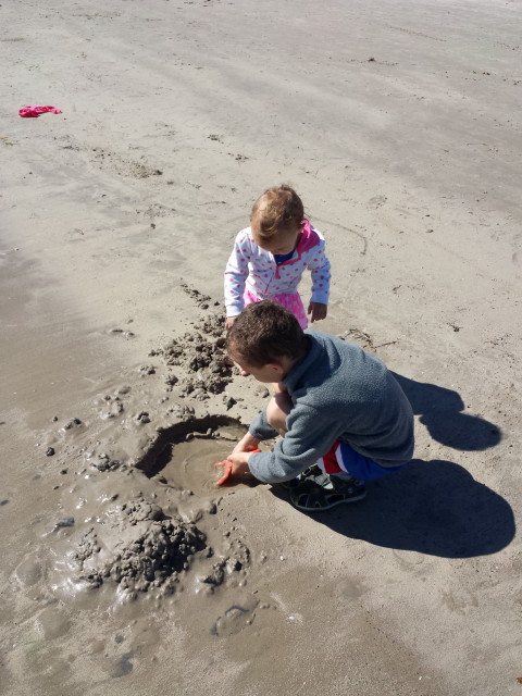 january 29, 2015 024_1