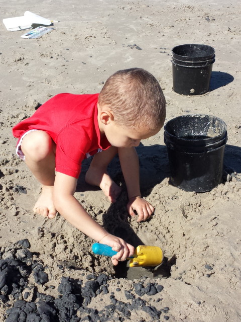 january 29, 2015 026_1