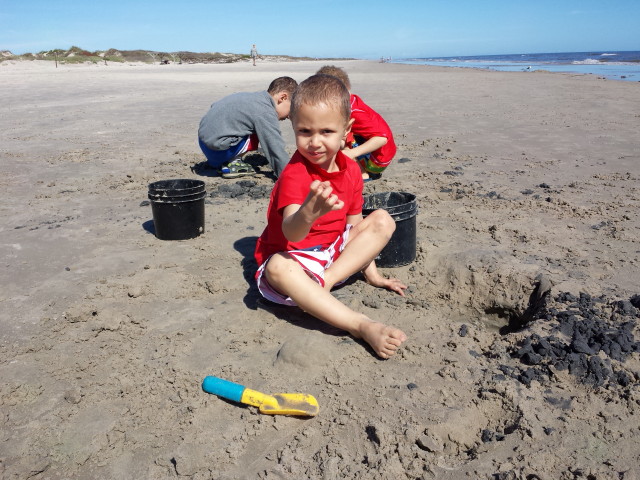 january 29, 2015 029_1