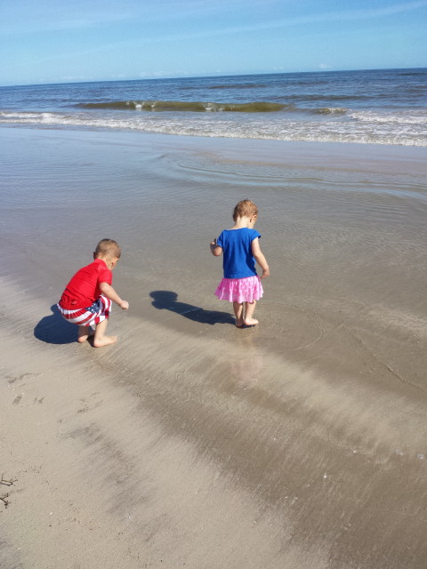 january 29, 2015 047_1