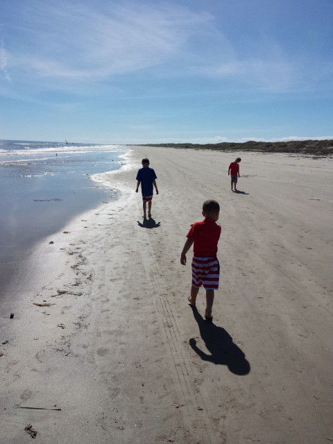 january 29, 2015 050_1