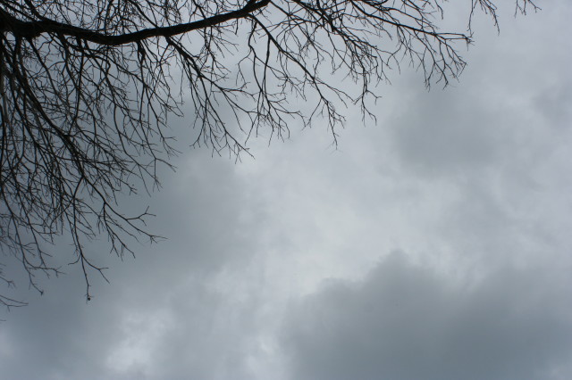 Valentine's Day 2015 012_1