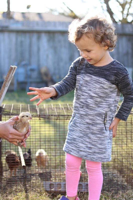 February 18, 2016 044_1_1