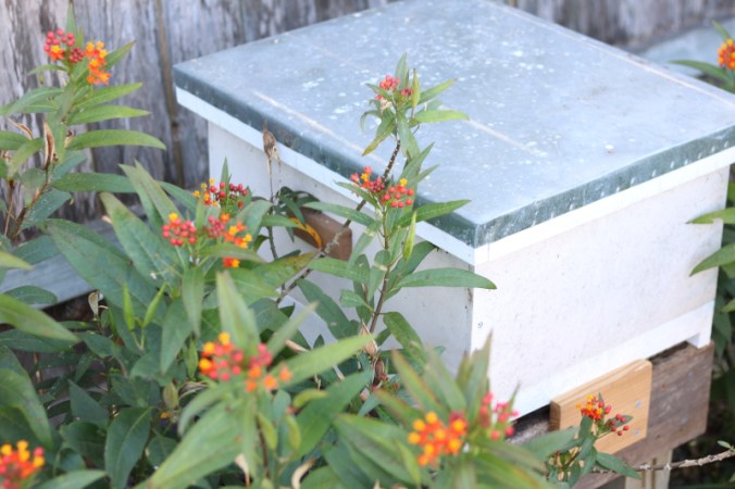 February 18, 2016 032_1_1