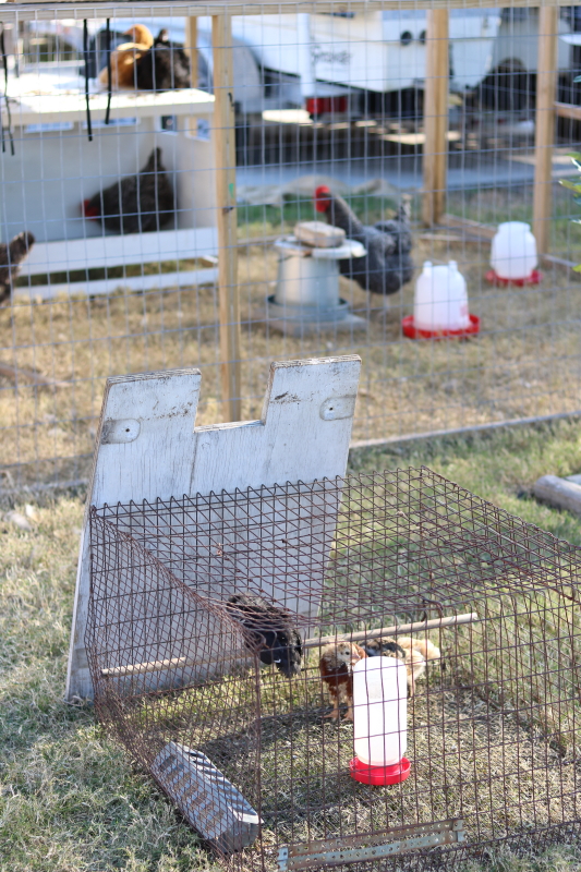 February 18, 2016 033_7_1