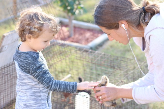 February 18, 2016 036_8_1