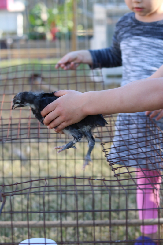 February 18, 2016 053_6_1