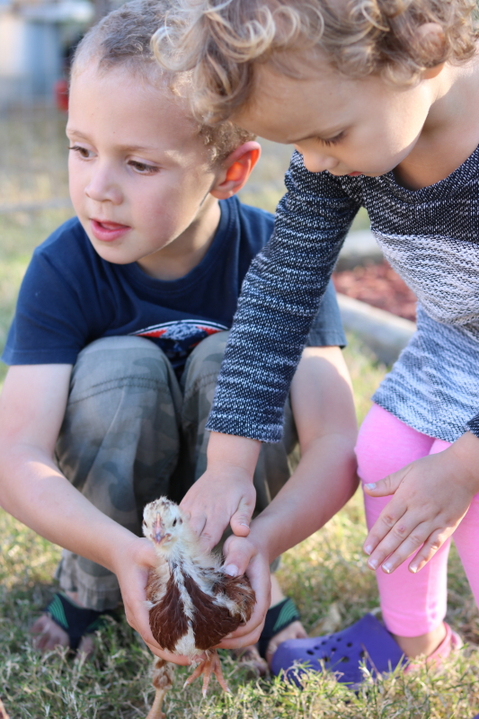 February 18, 2016 055_7_1