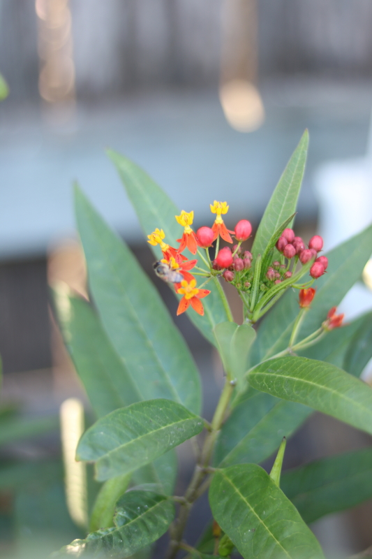 February 18, 2016 063_3_1