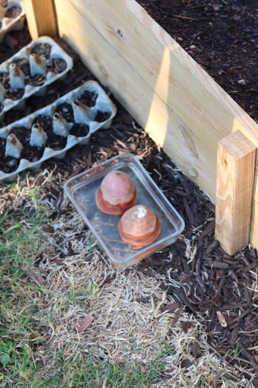 February 18, 2016 069_5_1