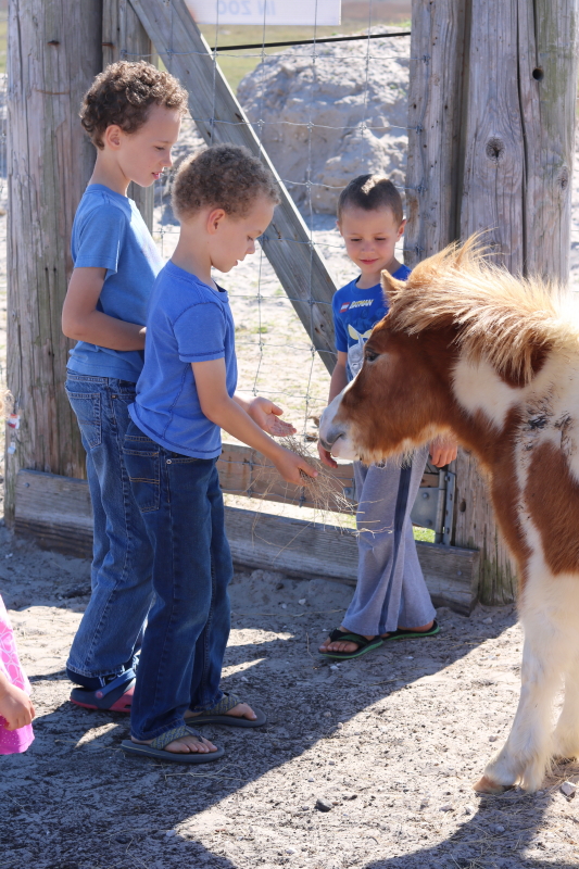 february 18 2016 012_1_1