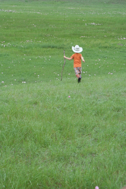 williams bday 177_1_1