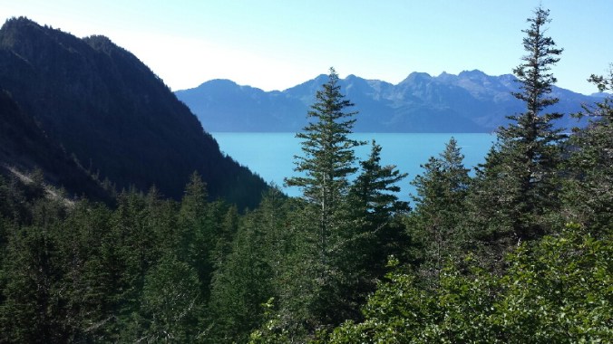 august austin 2013c 039_4_1