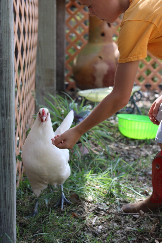 september-2016-020_1_1