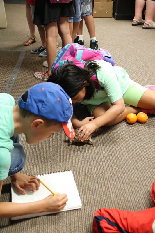 september-2016-035_5_1