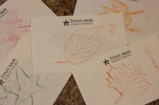 september-2016-043_3_1