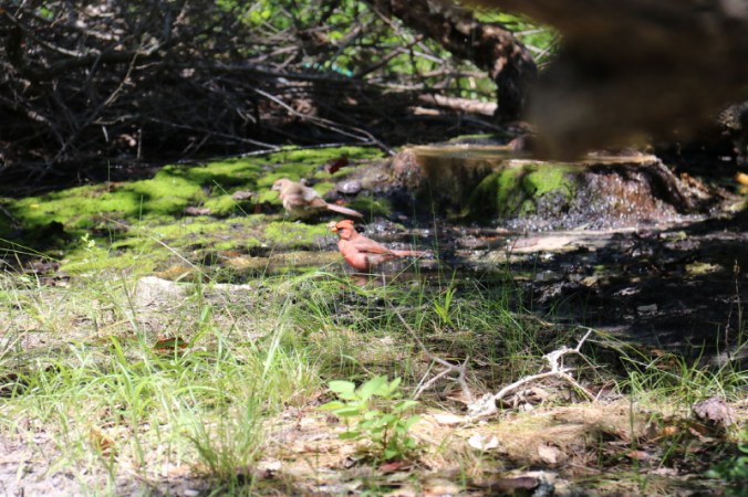 september-2016-157_10_1