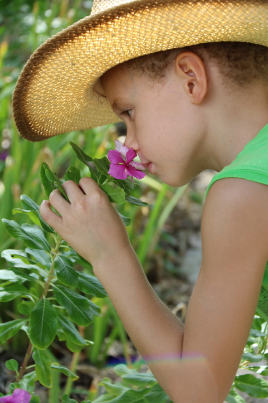 september-2016-261_3_1