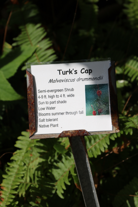 september-2016-277_14_1