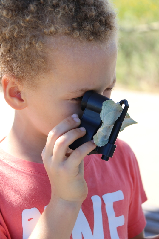 october-2016-013_8_1