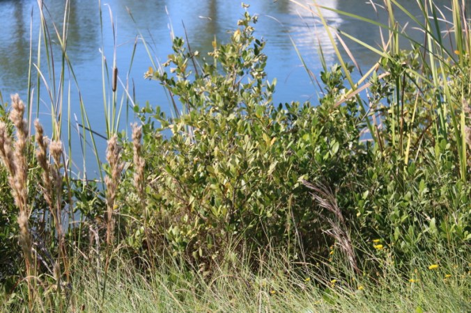 october-2016-021_1_1