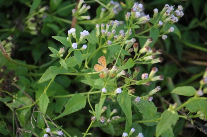 october-2016-021_4_1