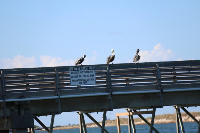 october-2016-027_5_1