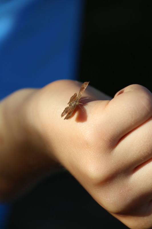 october-2016-030_6_1