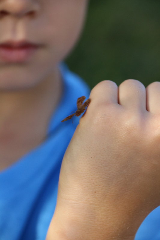 october-2016-031_7_1