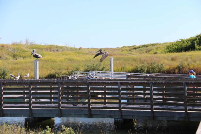 october-2016-035_11_1