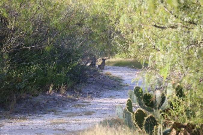 october-2016-039_3_1