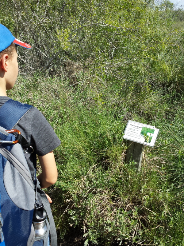 october-2016-040_13_1