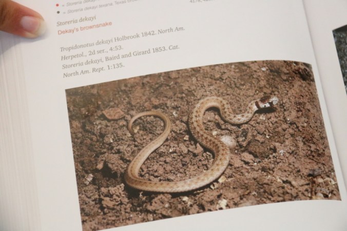 october-2016-044_10_1