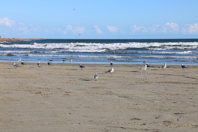 october-2016-053_1_1