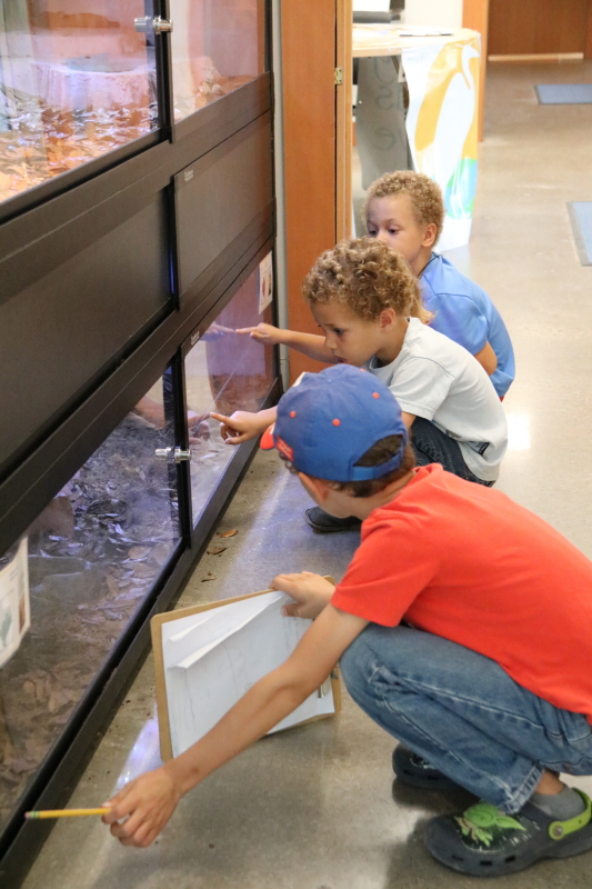 october-2016-054_4_1