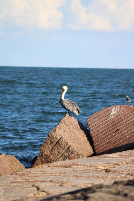 october-2016-064_10_1