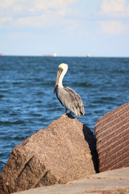 october-2016-067_12_1