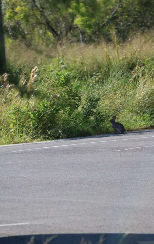 october-2016-077a_6_1