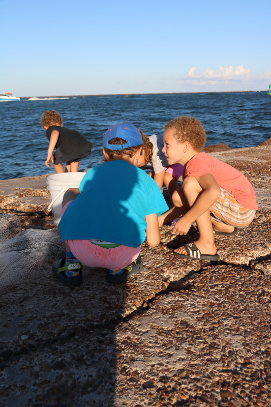 october-2016-079_7_1