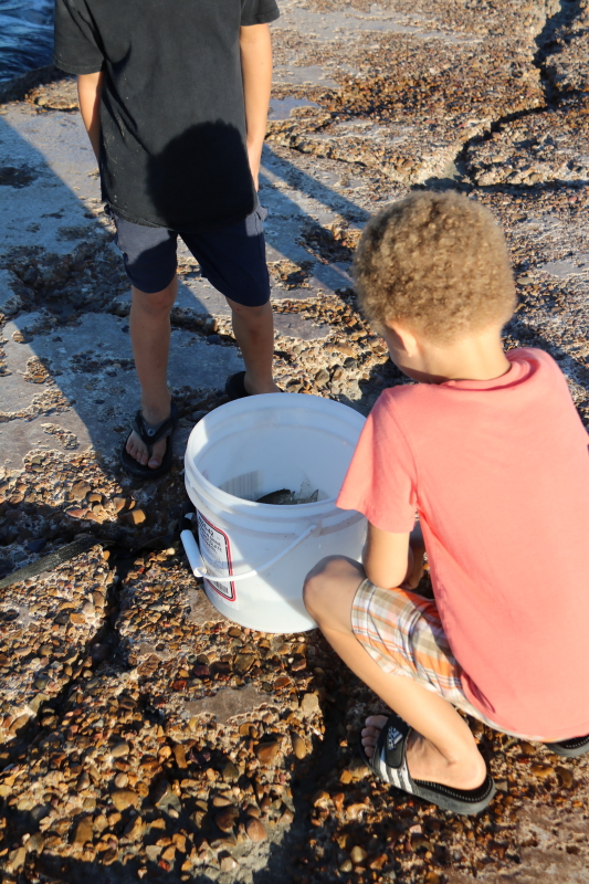 october-2016-080_8_1