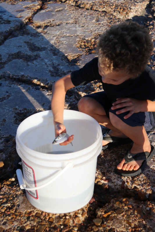 october-2016-082_10_1