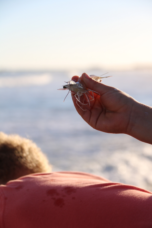 october-2016-089_15_1