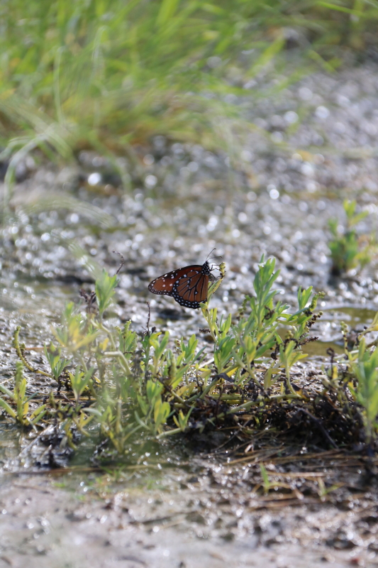 october-2016-090_5_1