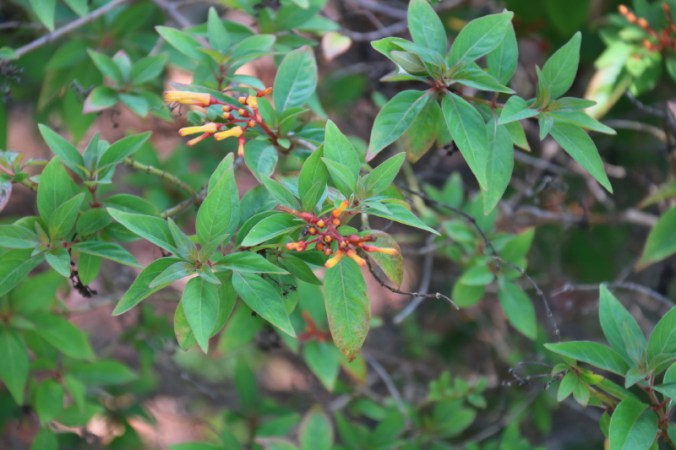 september-2016-009_9_1