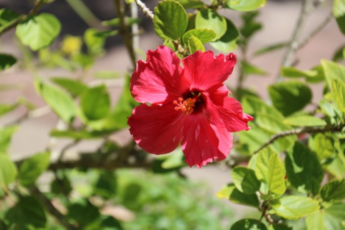 september-2016-012_12_1