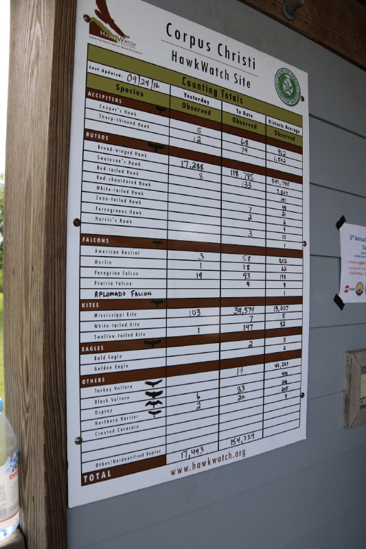 september-2016-020_2_1