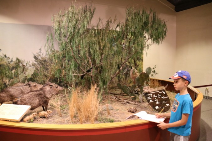 september-2016-032_10_1